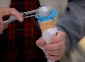 Campina Ice Cream
